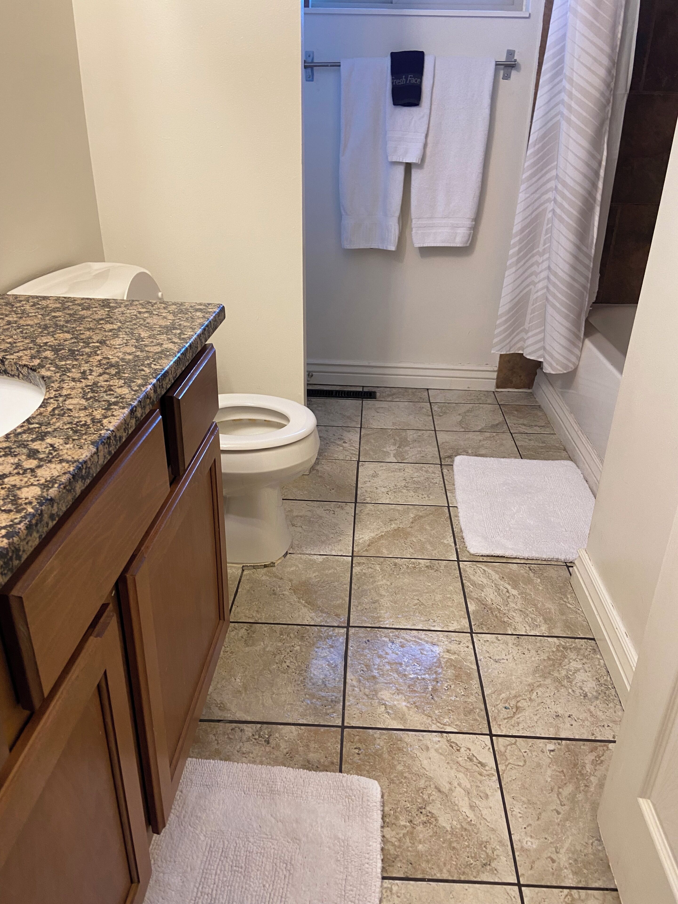Haartrockner, Handtücher, Seife, Toilettenpapier