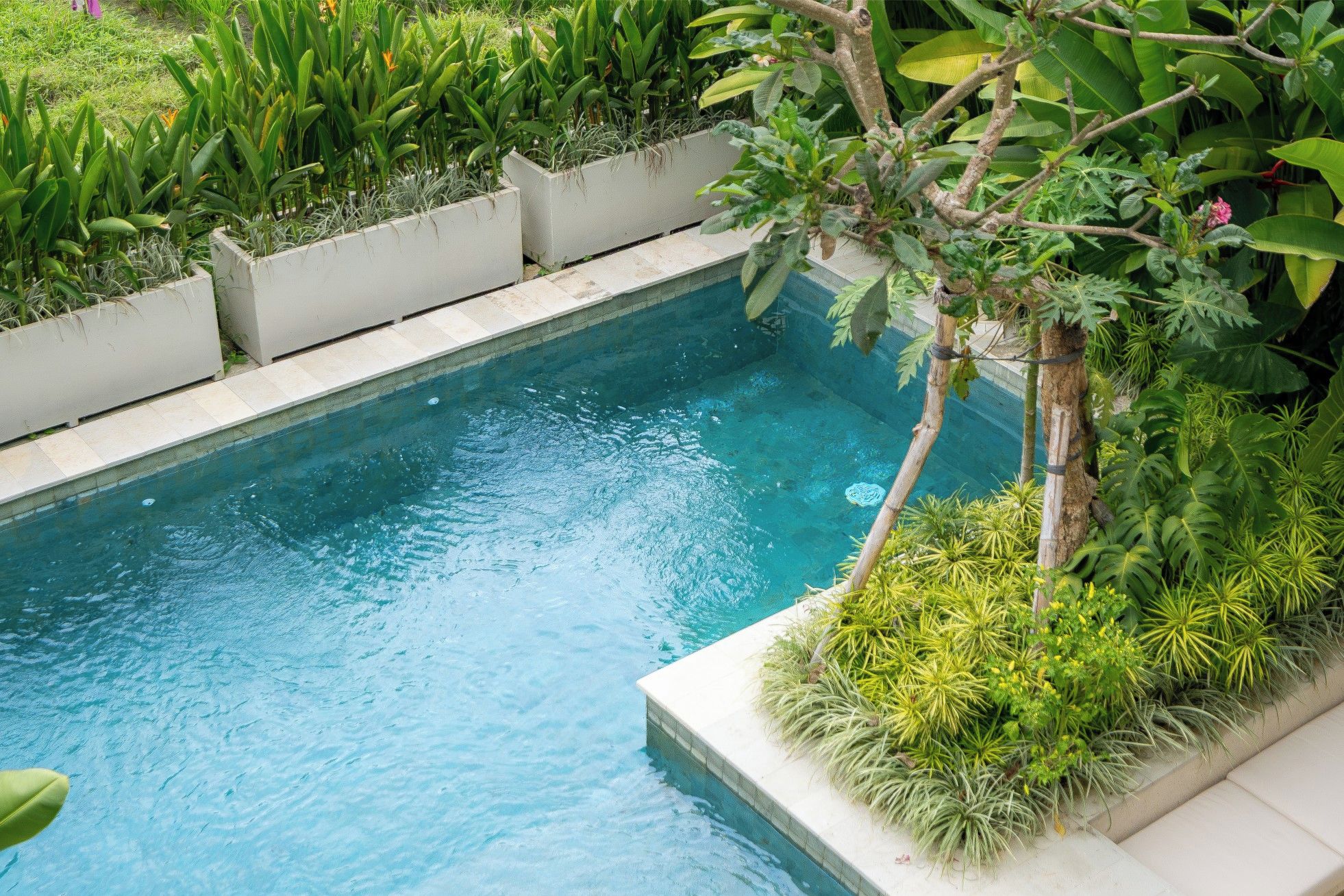 Piscina retangular com água azul cristalina, rodeada por vegetação exuberante.