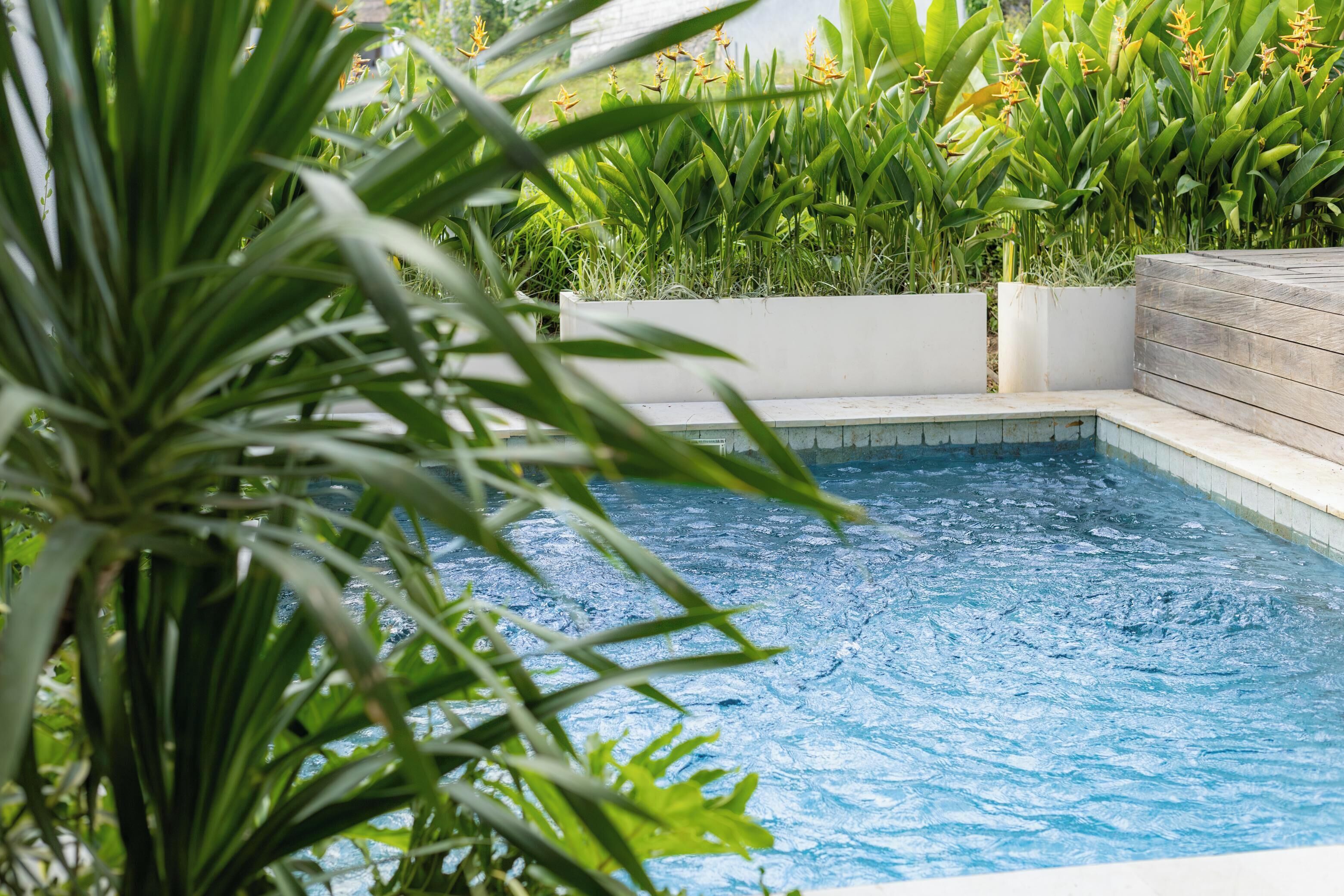 A swimming pool surrounded by lush greenery and white planters.