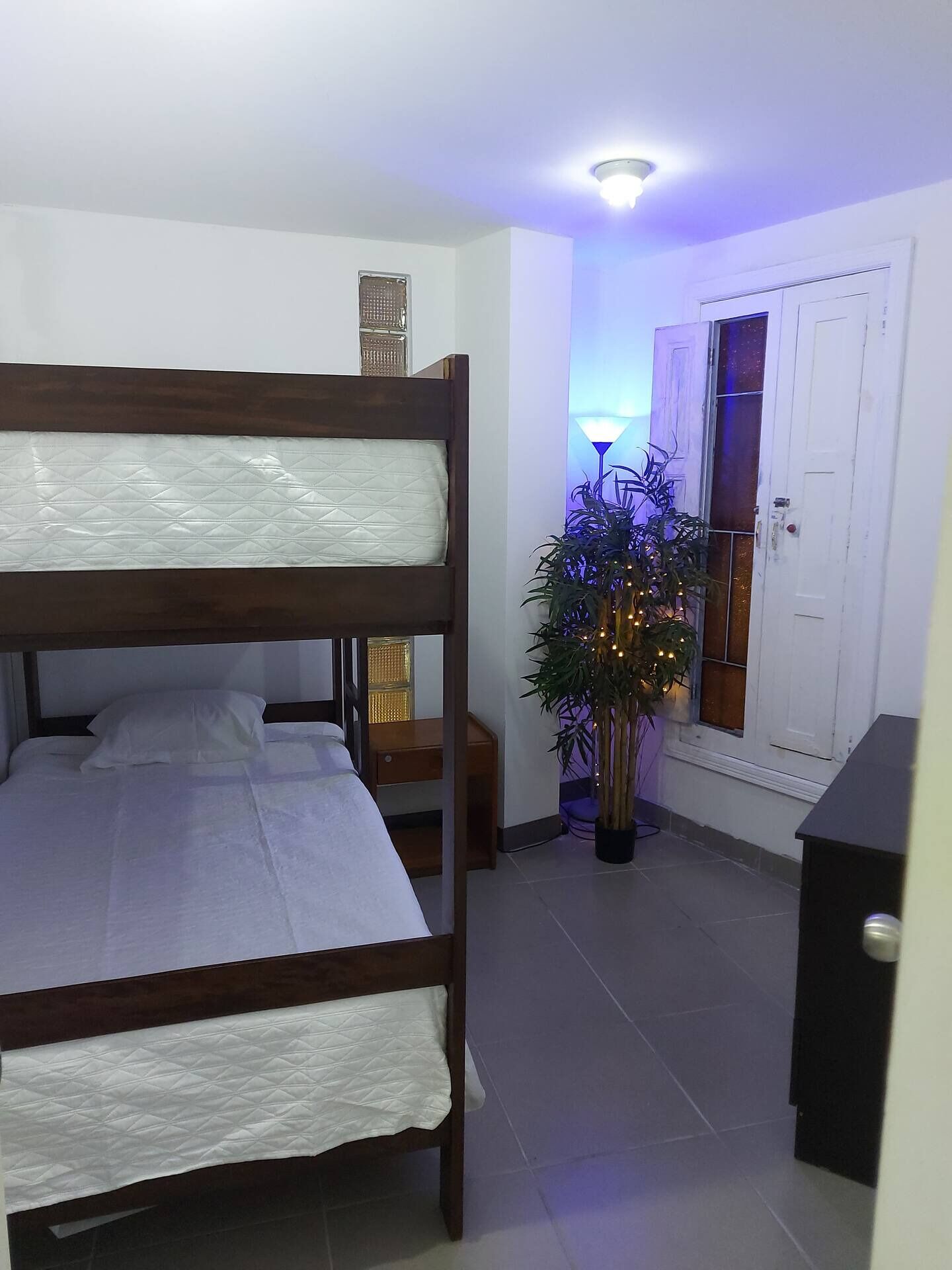 A bunk bed room with a bedside table, a lamp, and a potted plant.