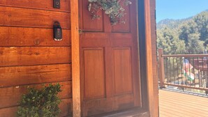 A wooden door with a wreath, a potted plant, and a doormat.