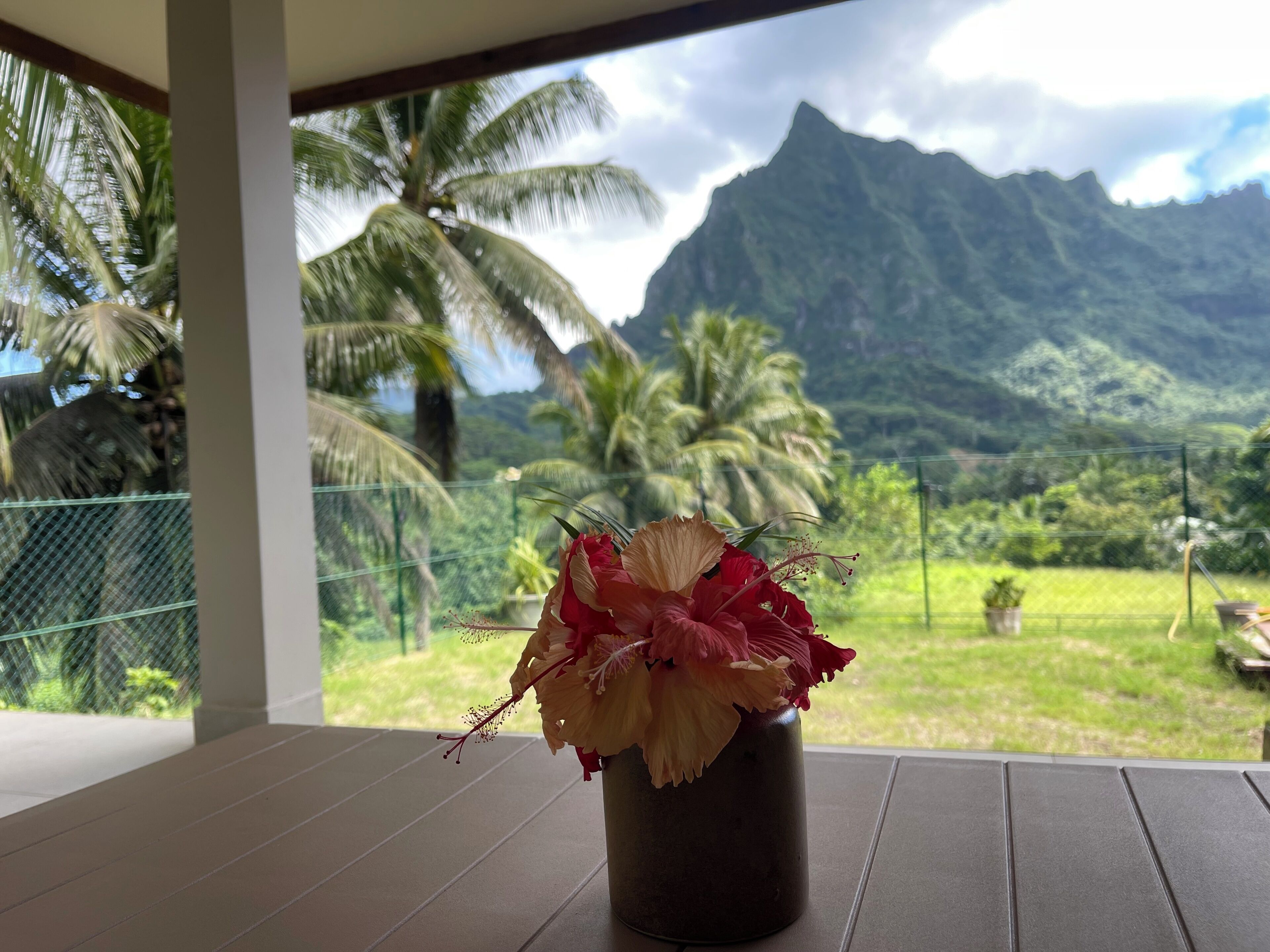 Une table avec un vase de fleurs, une vue sur des palmiers et une montagne en arrière-plan.
