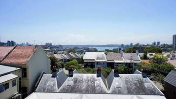 A residential area with multiple buildings, some with sloped roofs and chimneys, and a distant view of a city skyline and water body.