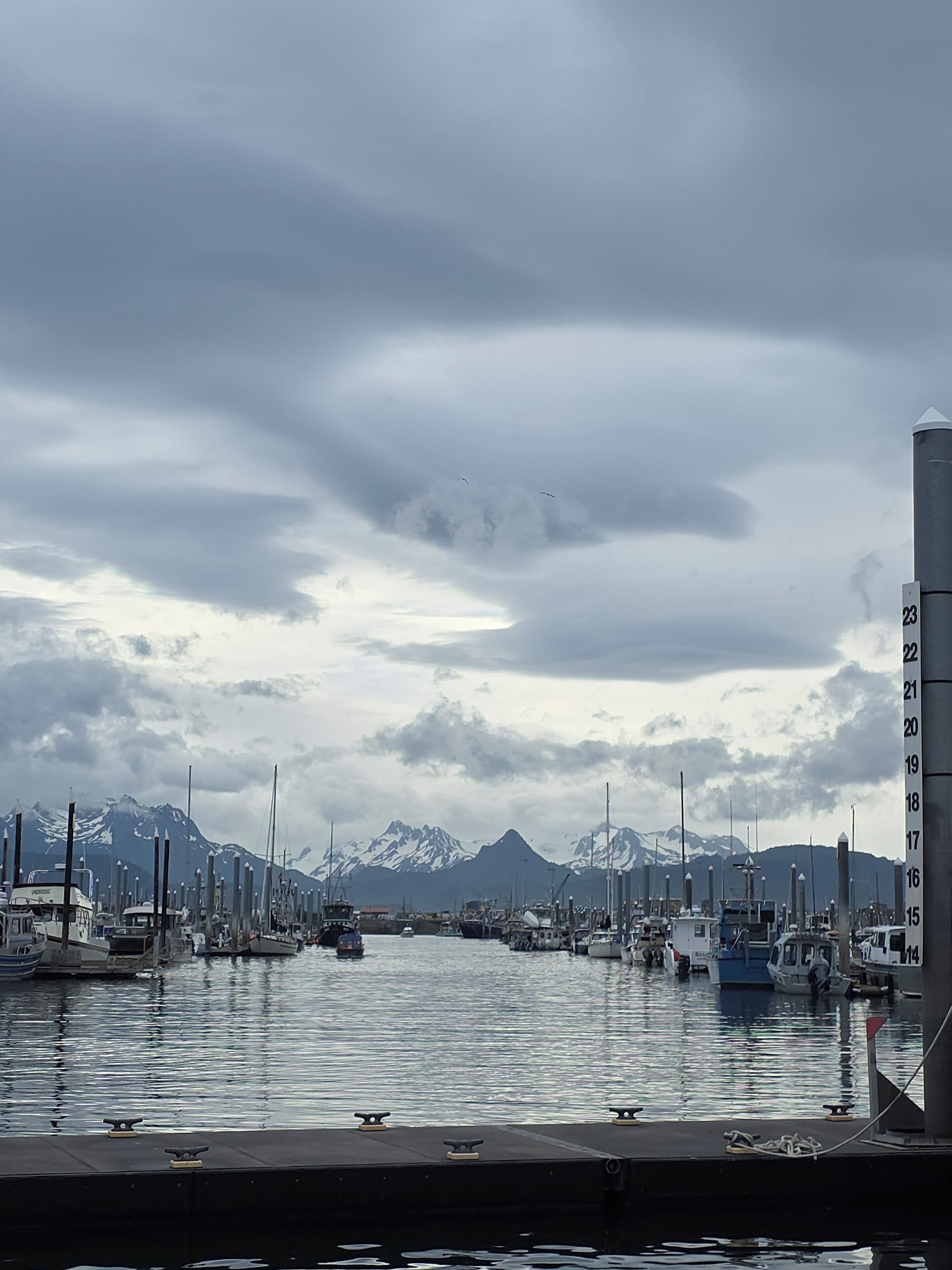 Marina