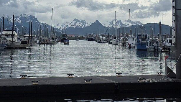 Ein Yachthafen mit vertäuten Booten, ein Wasserweg und Berge im Hintergrund.
