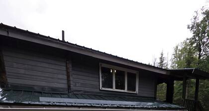 Whaler's Cove, pleasant 1-bedroom/1 bath apt. in Kenai perfect for your getaway.