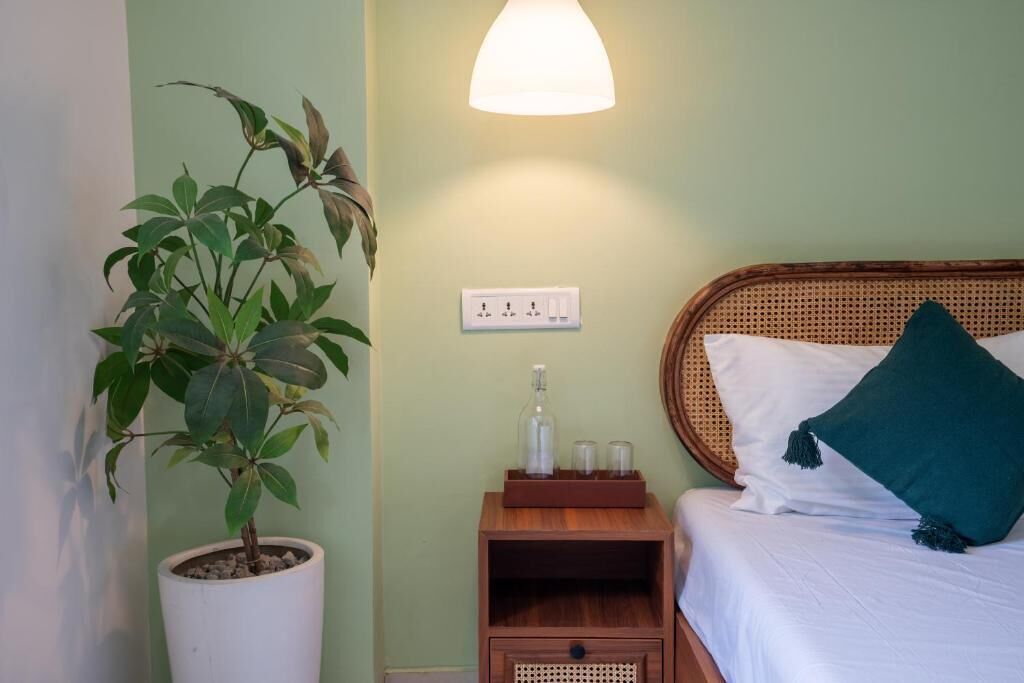 A room with a bed, a bedside table with a lamp, a potted plant, and a wall socket.