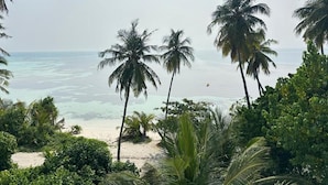 Una playa con palmeras y vista al océano.