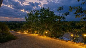 Un chemin de terre bordé de lampadaires et d’arbres, qui mène à un paysage vallonné.