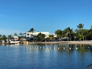 Beach - Quaint Key Largo, Florida home
7 guests 3 bedrooms 4 beds 2 baths (Key Largo)