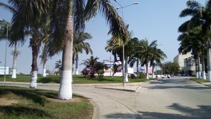 Una calle bordeada de palmeras y un paseo pavimentado.