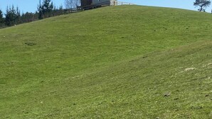Ein grasbewachsener Hügel mit einem Stall und einem kleinen Bau darauf.