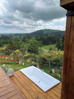 Outdoor spa tub - Czar’s Rest tiny home (Taupo)
