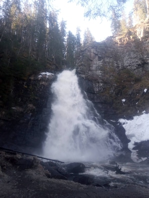 A waterfall cascading down a rocky cliff surrounded by trees.
