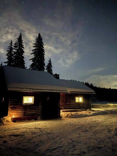 Cottage in the forest
