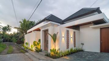 Une maison moderne avec une allée pavée, une porte en bois et un jardin bien entretenu.