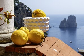 Lemons on a tiled surface with a coastal view. - Central Traditional Caprese Villa overlooking the Faraglioni in Marina Piccola (Capri)