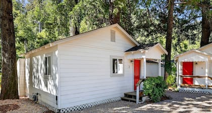 Charming Cabin with Scenic Patio and Grill Area in Cobb, California