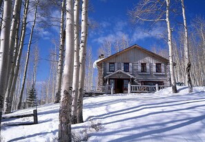 A log cabin with a front porch, surrounded by birch trees and snow.