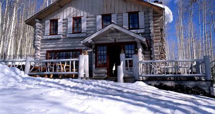 Luxurious Modern Cabin Fully Equipped Perfect for Winter Sports in Beaver Creek, Colorado