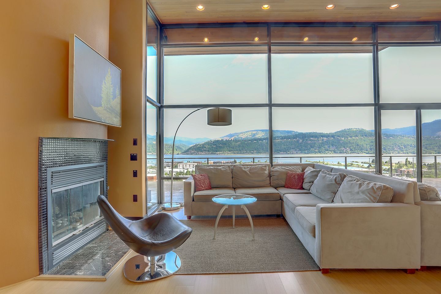 TV, fireplace, video library
