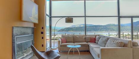 TV, fireplace, video library