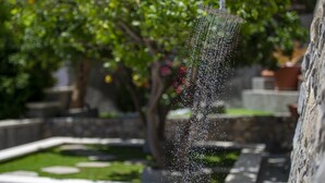 A water feature with a shower head, surrounded by greenery and stone elements. - Villa Cristal - Sea View Villa With Private Garden (Praiano)