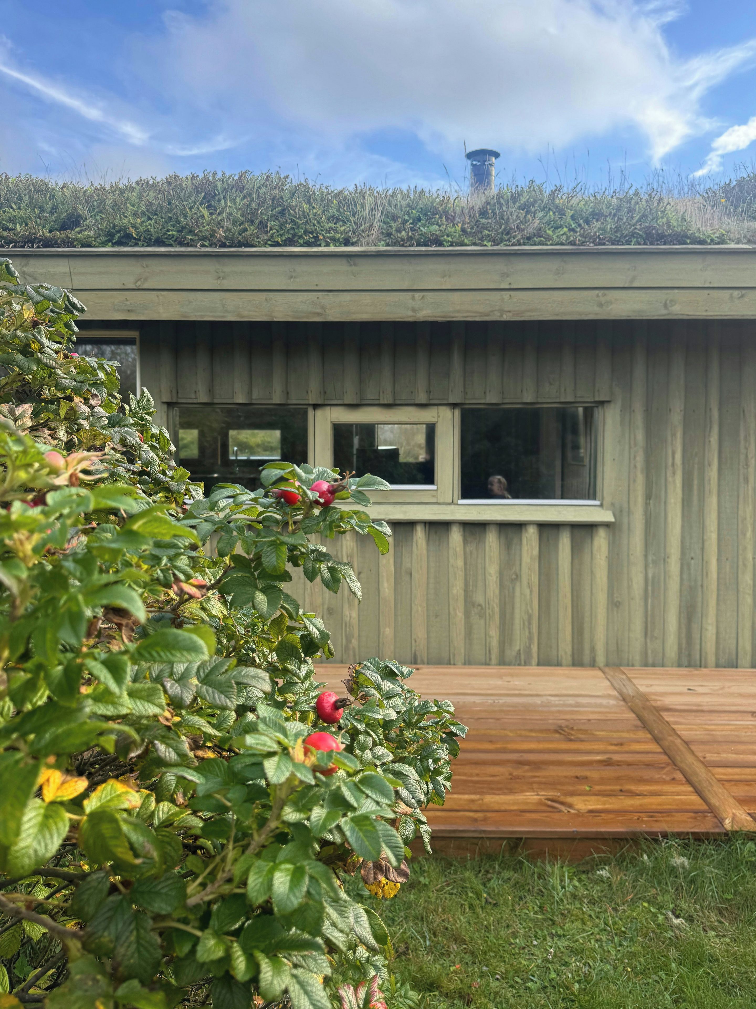 A modern house with a flat roof, wooden deck, and a window.