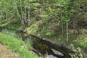 A natural stream with surrounding greenery and trees.