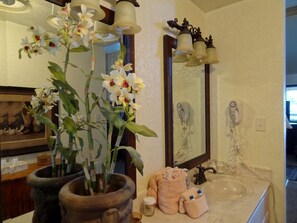 Bañera de hidromasaje, secador de pelo, toallas y papel higiénico
