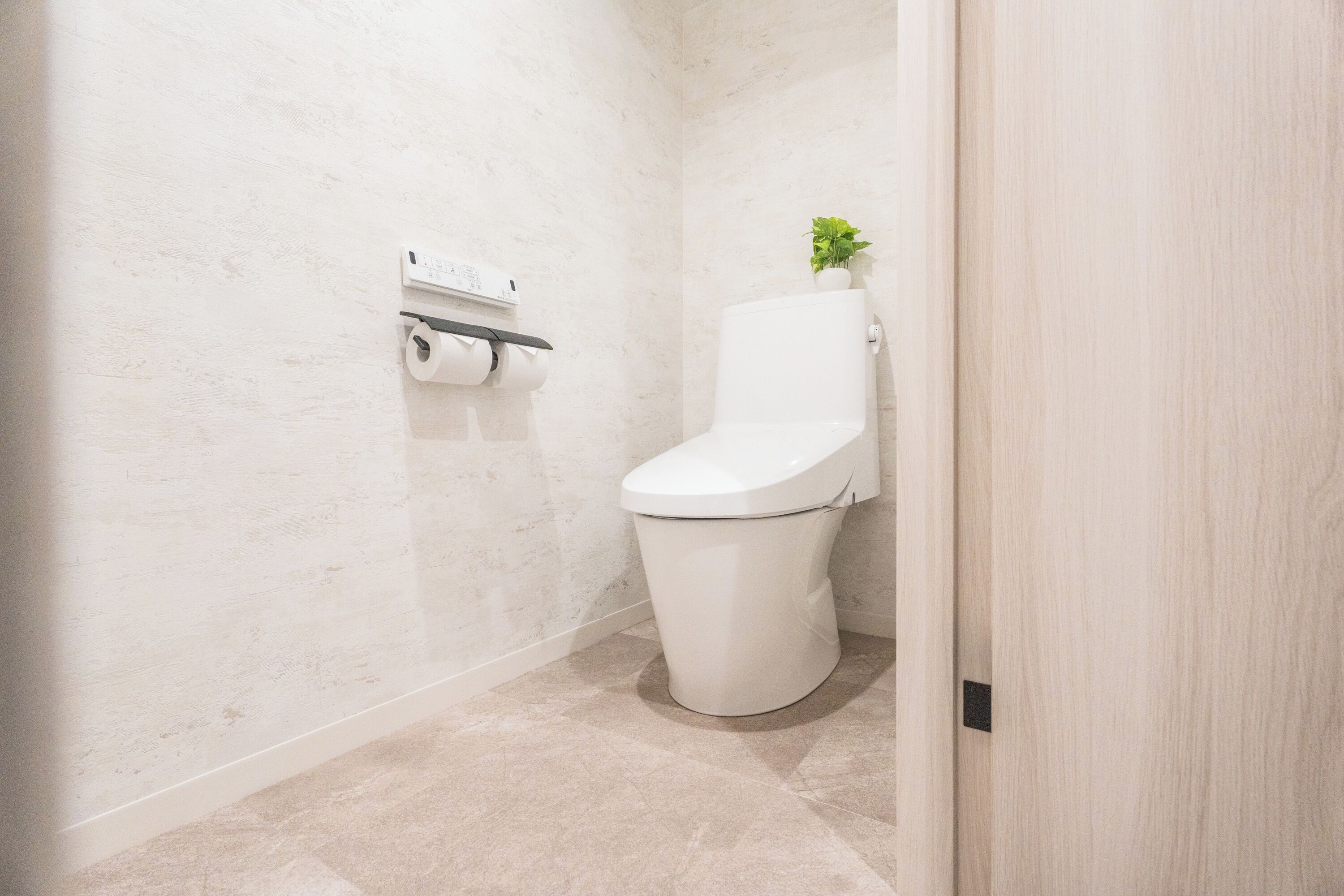 Une salle de bain avec des toilettes, du papier toilette et une petite plante en pot.