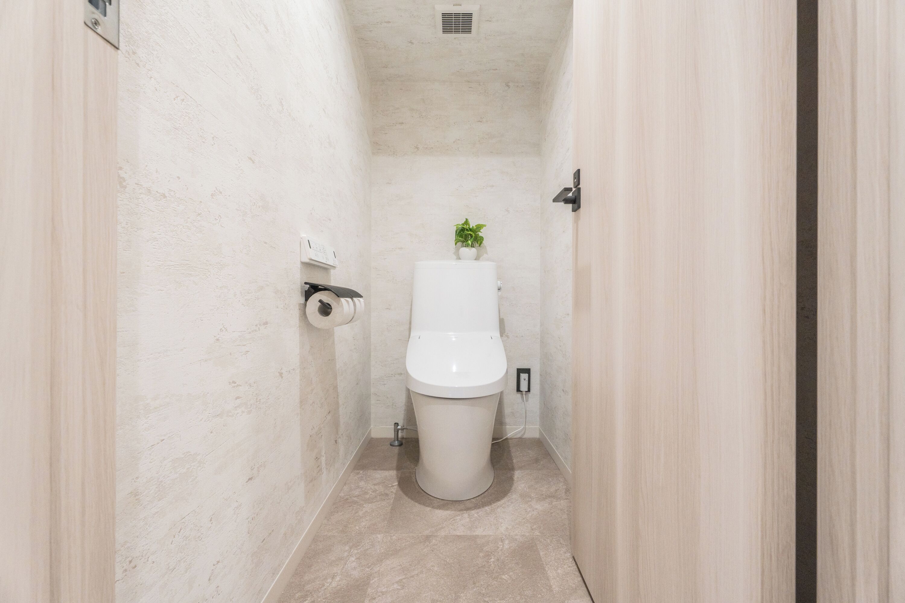 A narrow bathroom with a toilet, a roll of toilet paper, and a small potted plant on the back of the toilet.