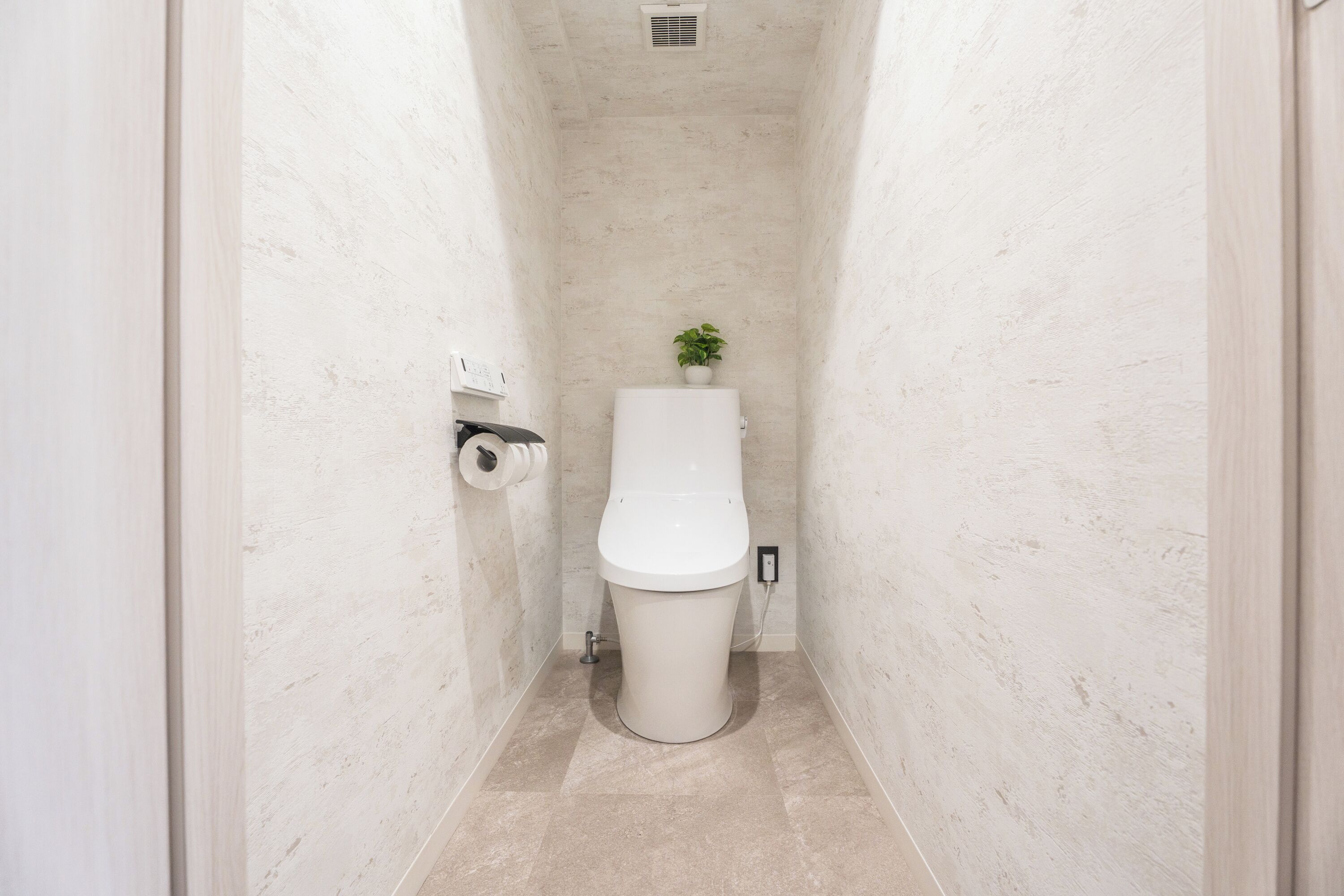 A narrow bathroom with a toilet, a small plant, and a toilet paper holder.