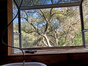 Ein Fenster mit Blick auf einen Baum und ein hölzernes Fensterbrett.