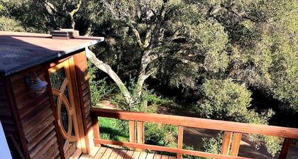 Cozy Artistic Cottage with Canyon Views Near Topanga State Park, Topanga, California