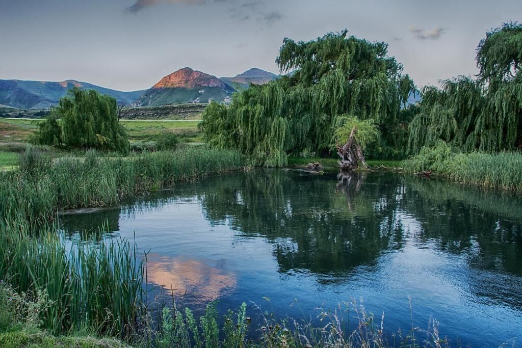 A calm river with trees and mountains in the background.