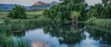 A calm river with trees and mountains in the background.