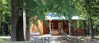 Charming Cozy Chalet on a Hill by the Cedar River in Letts, Iowa