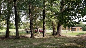 A fenced outdoor area with trees, a red vehicle, and a building in the background.