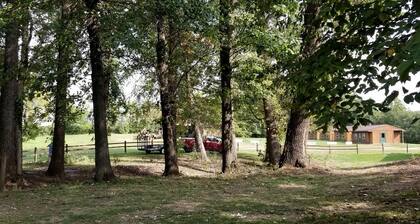 Charming Cozy Chalet on a Hill by the Cedar River in Letts, Iowa