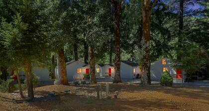 Cozy Nature Retreat Cabin Near Clear Lake in Cobb California