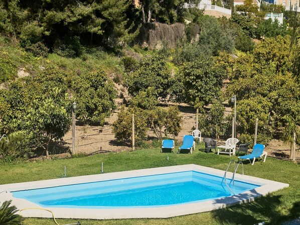 A rectangular swimming pool with a clear blue water surface, surrounded by a grassy area with several blue lounge chairs. - Conjunto Rural Las Rosas 1 by Casasol (Frigiliana)