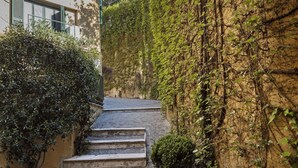 Une ruelle étroite avec des marches menant à un immeuble, entourée d’une végétation luxuriante et d’un mur couvert de lierre.
