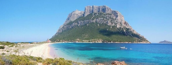 Beach - Classic Olbia (Olbia)