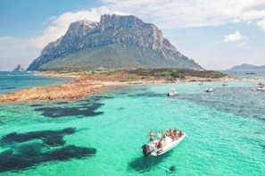 Miscellaneous - Classic Olbia (Olbia)