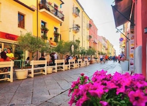 Miscellaneous - Classic Olbia (Olbia)