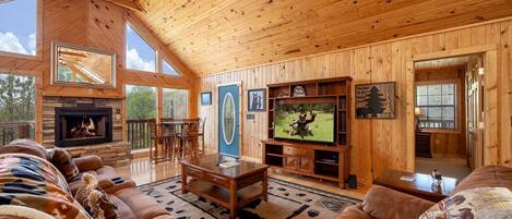 TV, fireplace