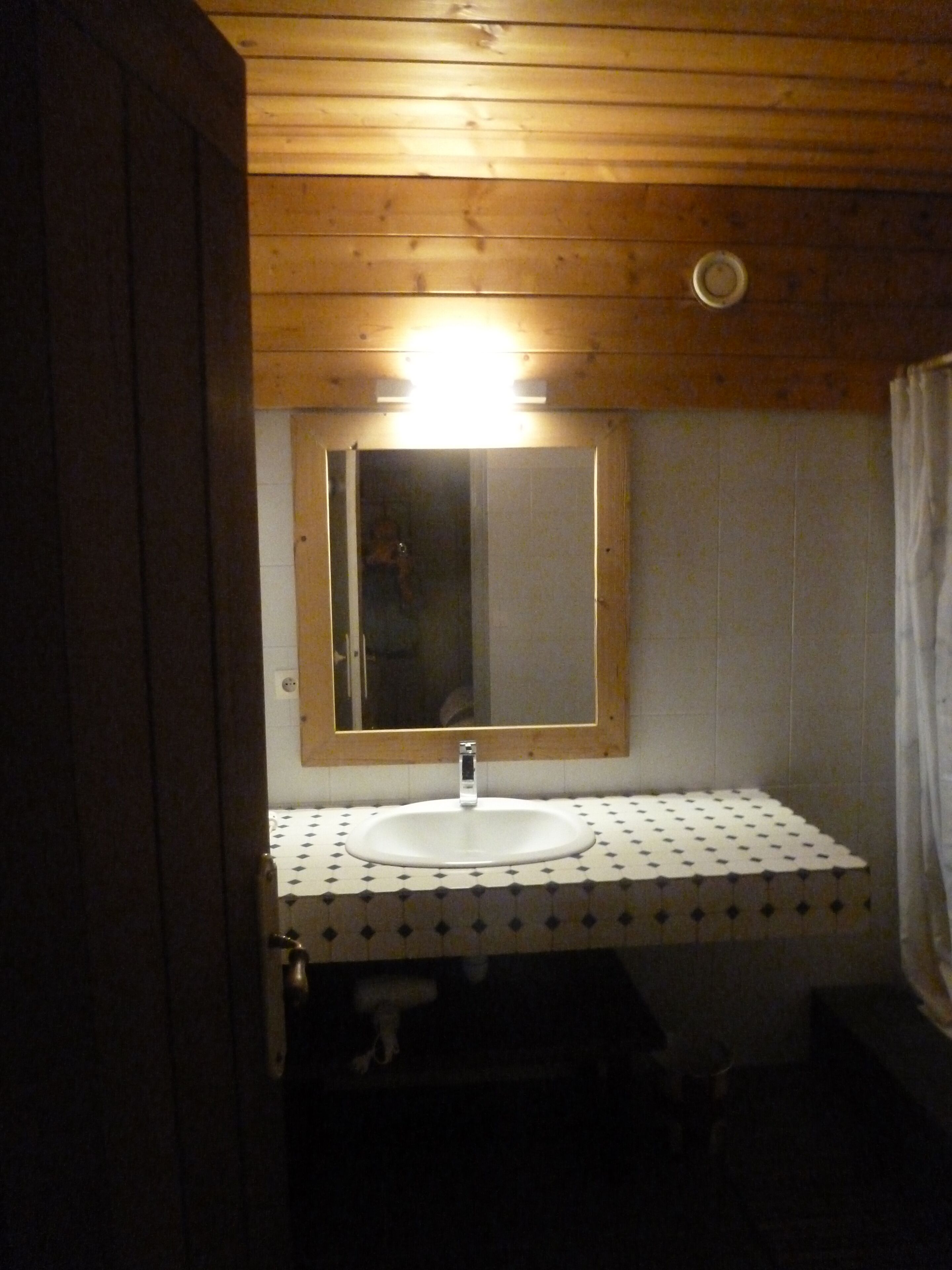 Shower, hair dryer, toilet paper