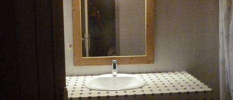 Shower, hair dryer, toilet paper
