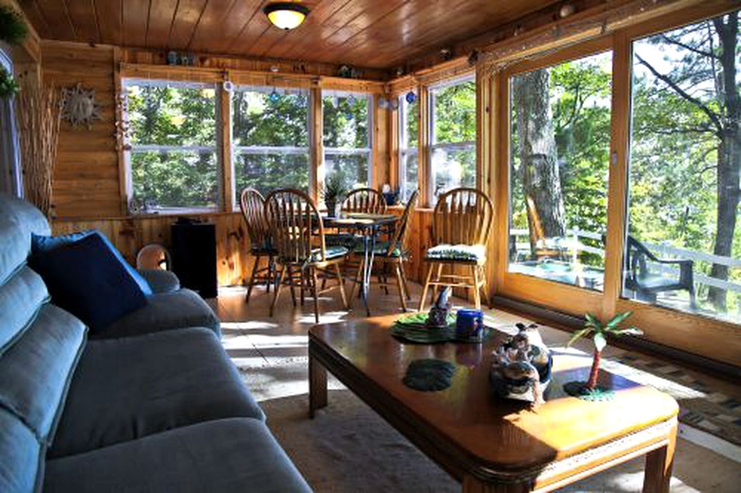 TV, fireplace, video games, DVD player